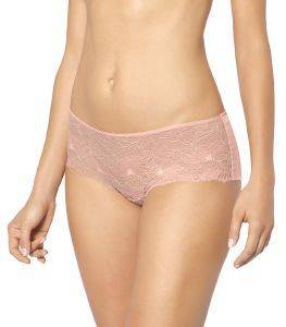  TRIUMPH LACE SPOTLIGHT BANDEAU BRIEF   (40)