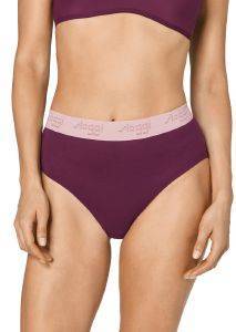 ΣΛΙΠΑΚΙ SLOGGI THE \'79 MAXI ΜΠΟΡΝΤΩ (XL) ΣΛΙΠΑΚΙ SLOGGI THE \'79 MAXI ΜΠΟΡΝΤΩ (XL)