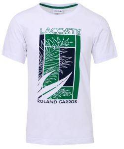 T-SHIRT LACOSTE TH3637 DG9 �����/������� (L)