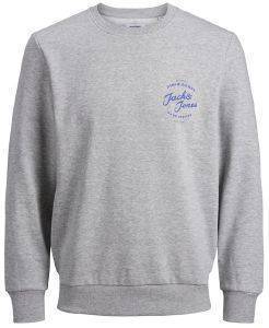  JACK & JONES JJHERO 12175064    (M)
