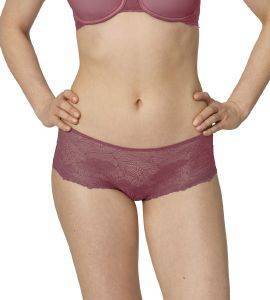  TRIUMPH LACE SPOTLIGHT BANDEAU BRIEF  (38)