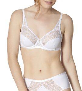 ΣΟΥΤΙΕΝ TRIUMPH DELICATE DESIGN W ΛΕΥΚΟ (85F) ΣΟΥΤΙΕΝ TRIUMPH DELICATE DESIGN W ΛΕΥΚΟ (85F)