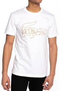 T-SHIRT LACOSTE CROCODILE EMBROIDERY TH0051 001 ΛΕΥΚΟ (M) T-SHIRT LACOSTE CROCODILE EMBROIDERY TH0051 001 ΛΕΥΚΟ (M)