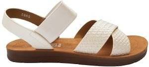 �������� SHOOZ ������ ����� 5865 ����� (40)