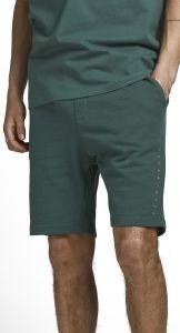 ΒΕΡΜΟΥΔΑ JACK & JONES JJIFONT 12202197 ΣΚΟΥΡΟ ΠΡΑΣΙΝΟ (XXL) ΒΕΡΜΟΥΔΑ JACK & JONES JJIFONT 12202197 ΣΚΟΥΡΟ ΠΡΑΣΙΝΟ (XXL)