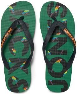 ΣΑΓΙΟΝΑΡΕΣ JACK & JONES JFWLOGO PRINT FLIPFLOP 12205610 ΠΡΑΣΙΝΟ (42/43) ΣΑΓΙΟΝΑΡΕΣ JACK & JONES JFWLOGO PRINT FLIPFLOP 12205610 ΠΡΑΣΙΝΟ (42/43)
