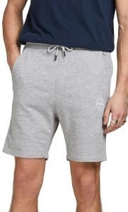 ΒΕΡΜΟΥΔΑ JACK & JONES JPSTSHARK 12182595 ΑΝΟΙΧΤΟ ΓΚΡΙ ΜΕΛΑΝΖΕ (S) ΒΕΡΜΟΥΔΑ JACK & JONES JPSTSHARK 12182595 ΑΝΟΙΧΤΟ ΓΚΡΙ ΜΕΛΑΝΖΕ (S)