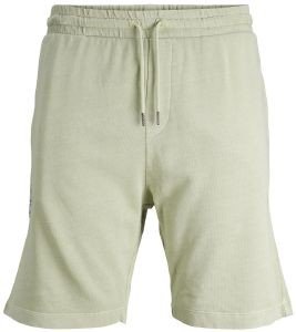 ΒΕΡΜΟΥΔΑ JACK & JONES JPSTRUSH 12206539 ΑΝΟΙΧΤΟ ΠΡΑΣΙΝΟ (S) ΒΕΡΜΟΥΔΑ JACK & JONES JPSTRUSH 12206539 ΑΝΟΙΧΤΟ ΠΡΑΣΙΝΟ (S)