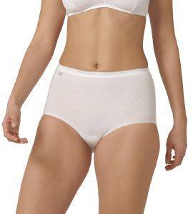 ΣΛΙΠΑΚΙ SLOGGI BASIC+ MAXI ΛΕΥΚΟ 2ΤΜΧ (52) ΣΛΙΠΑΚΙ SLOGGI BASIC+ MAXI ΛΕΥΚΟ 2ΤΜΧ (52)