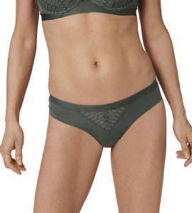 ������� TRIUMPH AURA SPOTLIGHT BRAZILIAN ������ ������� (42)