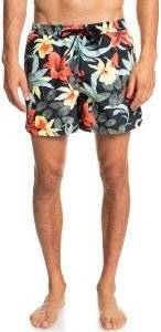 ����� BOXER QUIKSILVER EVERYDAY GARDEN PATH VOLLEY 15 EQYJV03867 �����/��������� (M)