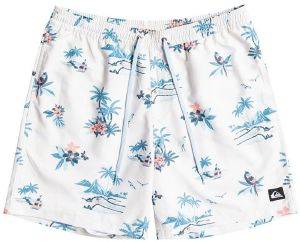 ����� BOXER QUIKSILVER EVERYDAY SCENIC VOLLEY 15 EQYJV03901 ����� (XL)