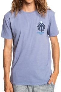 T-SHIRT QUIKSILVER PROMOTE THE STOKE EQYZT06702 ΜΩΒ (S) T-SHIRT QUIKSILVER PROMOTE THE STOKE EQYZT06702 ΜΩΒ (S)
