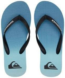 ���������� QUIKSILVER MOLOKAI NEW WAVE AQYL101246 ���� (46)