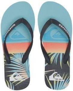 ���������� QUIKSILVER MOLOKAI PANEL AQYL101263 ���� (44)