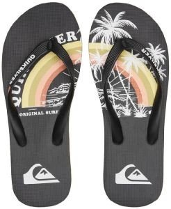���������� QUIKSILVER MOLOKAI ART AQYL101278 ����� (41)