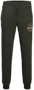   JACK & JONES JPSTGORDON JJSTAMP 12212245   (XXL)