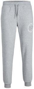   JACK & JONES JPSTGORDON JJSTAMP 12212245    (S)