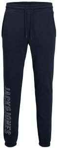   JACK & JONES JPSTGORDON JJXILOSWEAT 12212525  