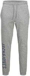   JACK & JONES JPSTGORDON JJXILOSWEAT 12212525    (L)