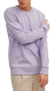 ΦΟΥΤΕΡ JACK & JONES JJEBASIC 12181903 ΛΙΛΑ (S) ΦΟΥΤΕΡ JACK & JONES JJEBASIC 12181903 ΛΙΛΑ (S)