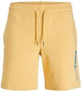 ��������  JACK & JONES JPSTNEO 12225143 ������� (M)