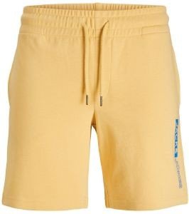 ΒΕΡΜΟΥΔΑ JACK & JONES JPSTNEO 12225143 ΚΙΤΡΙΝΟ (L) ΒΕΡΜΟΥΔΑ JACK & JONES JPSTNEO 12225143 ΚΙΤΡΙΝΟ (L)