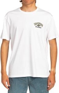T-SHIRT BILLABONG ARCH DREAMY PLACE EBYZT00107  (L)