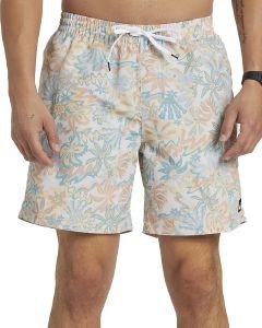  BOXER QUIKSILVER RE-MIX VOLLEY 17NB EQYJV04004 / (M)