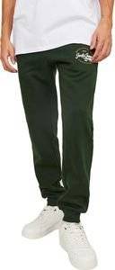 ��������� ������ JACK & JONES JPSTGORDON JJMIKK 12236876 ������ ������� (XXL)