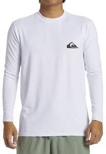 ������� ����������� QUIKSILVER EVERYDAY SURF AQYWR03136 ����� (S)