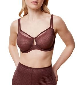 ΣΟΥΤΙΕΝ TRIUMPH SIGNATURE SHEER W01 EX ΚΑΦΕ (80G) ΣΟΥΤΙΕΝ TRIUMPH SIGNATURE SHEER W01 EX ΚΑΦΕ (80G)
