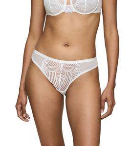  TRIUMPH DELIGHTFUL SPOTLIGHT BRAZILIAN   (40)