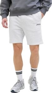  JACK & JONES JPSTGORDON BEAU SWEAT 12268770   