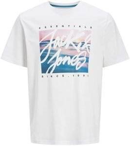 T-SHIRT JACK & JONES JJCOLTON PHOTOPRINT 12268438  (XXL)