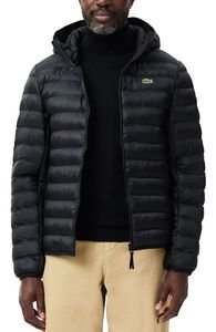 ������� LACOSTE BH2909 031 ����� (52)