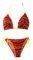 ����O ��������� CLUB NEUF BRAZIL ������� ����...