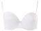  TRIUMPH PURE CURVES WDU 03  (80B...