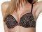  TRIUMPH ANIMAL CURVES WHU / ...