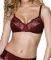 PRECIOUS DESIRE W BY TRIUMPH   (75...