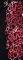  DKNY REPEAT SCRIPT FORWAR  (S)