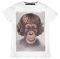 RUDY - SHIRT YOUR EYES LIE  (L)