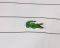 T-SHIRT POLO LACOSTE   (L)