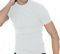 ��������� SLOGGI MEN SPORTY SH03 O-NECK 02 ��...