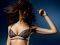  TRIUMPH DAHLIA BY JELENA N   ...