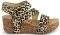 ��������� BLOWFISH MALIBU LEELEE VEGAN BF7945 LEOPARD �����/���� (41)