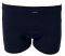  PALCO BLUEBIRD BASIC HIPSTER  (...