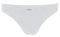  PALCO BLUEBIRD BASIC MINI  (M)