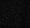 �������� WESC HOLLIE ����� (L)