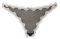  TRIUMPH BRIEF MESH STRING  (XL)